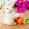 Ensemble salière et poivrière Bunny &amp; Carrot