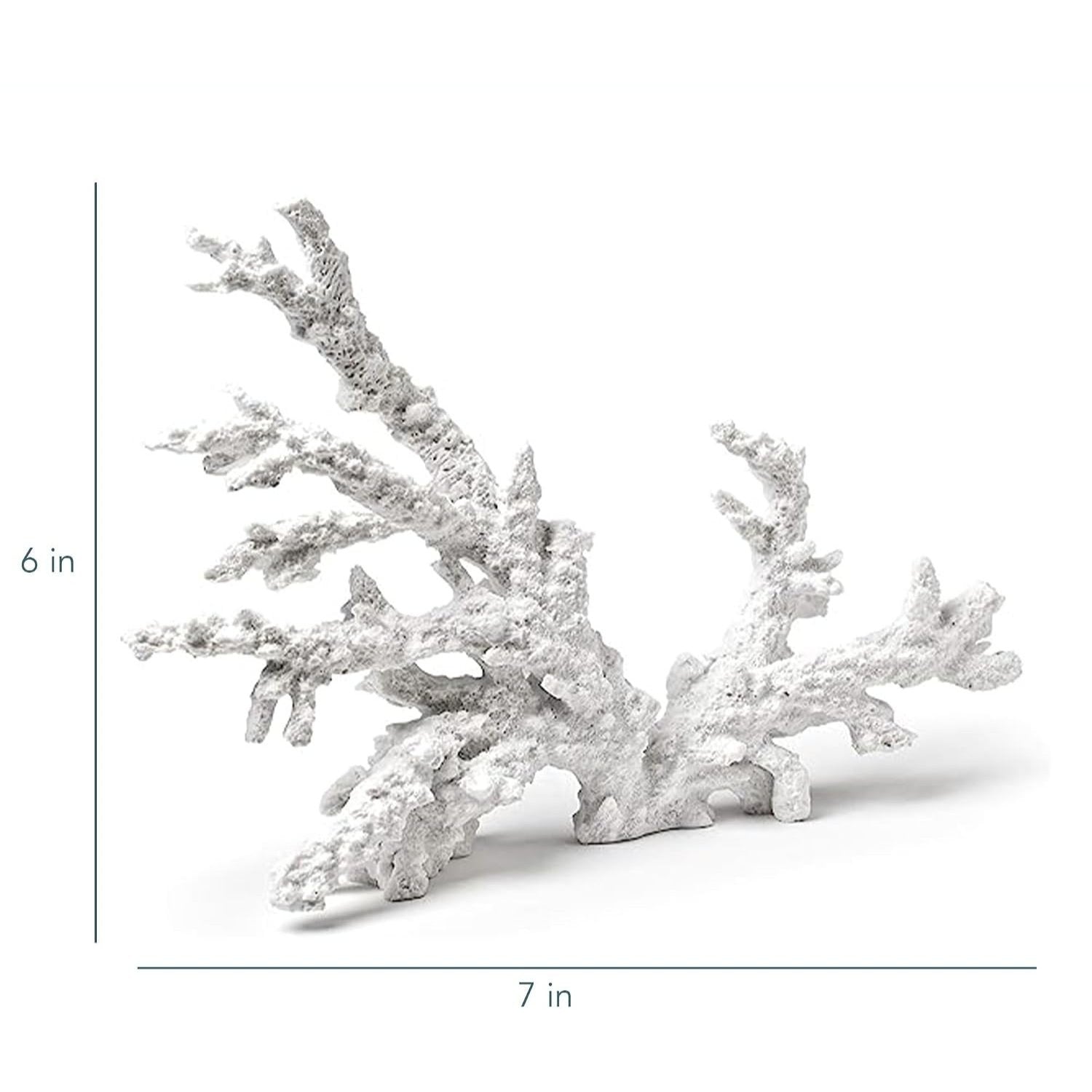 Large Coral Branch White 12 Inch