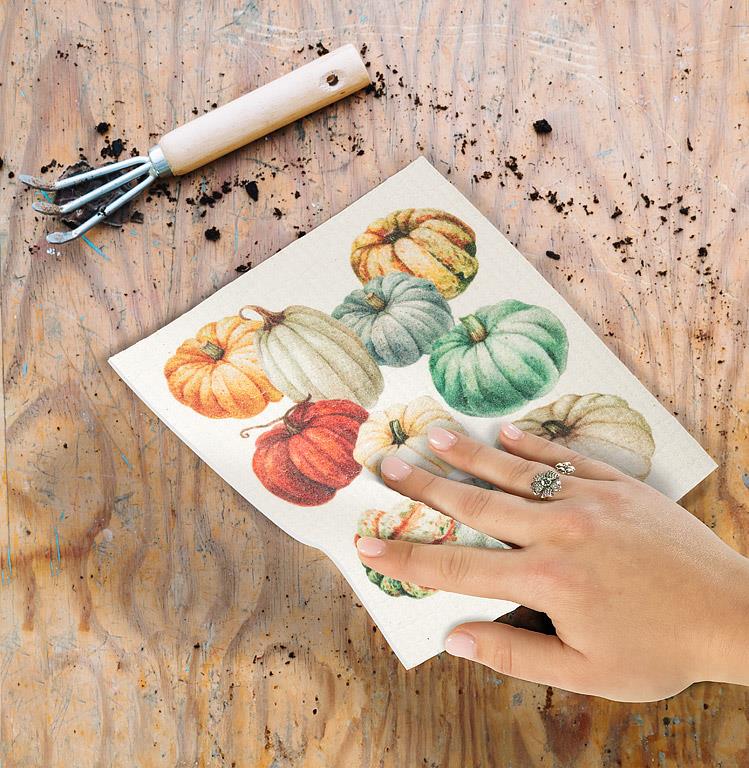 Swedish Sponge Cloth - Pumpkins – Kitchen Linens gift Montreal Villeray Urban Palate