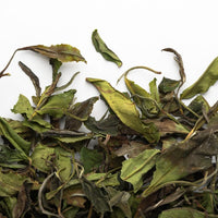 Bai Mu Dan White Tea 30g