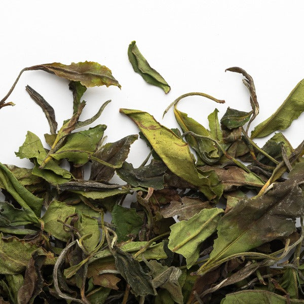 Bai Mu Dan White Tea 30g