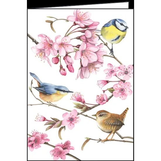 Tarjeta de felicitación - Pájaros 5" x 7"