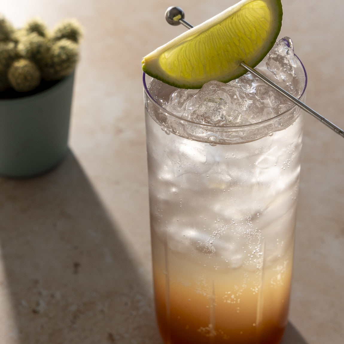 Forest Tonic Syrup 200ml