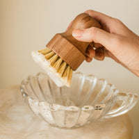 Wooden Scrub Brush