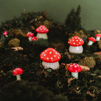 La pequeña vela de seta