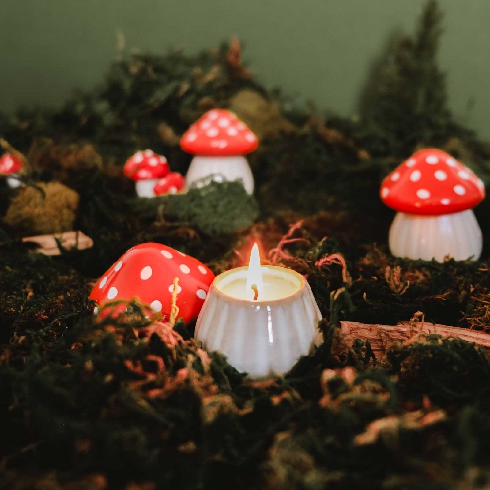 La pequeña vela de seta