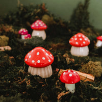 La pequeña vela de seta