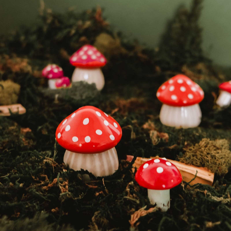 La pequeña vela de seta