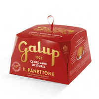 Panettone traditionnel italien Galup 750g