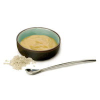 Endurance Salt or Condiment Spoon