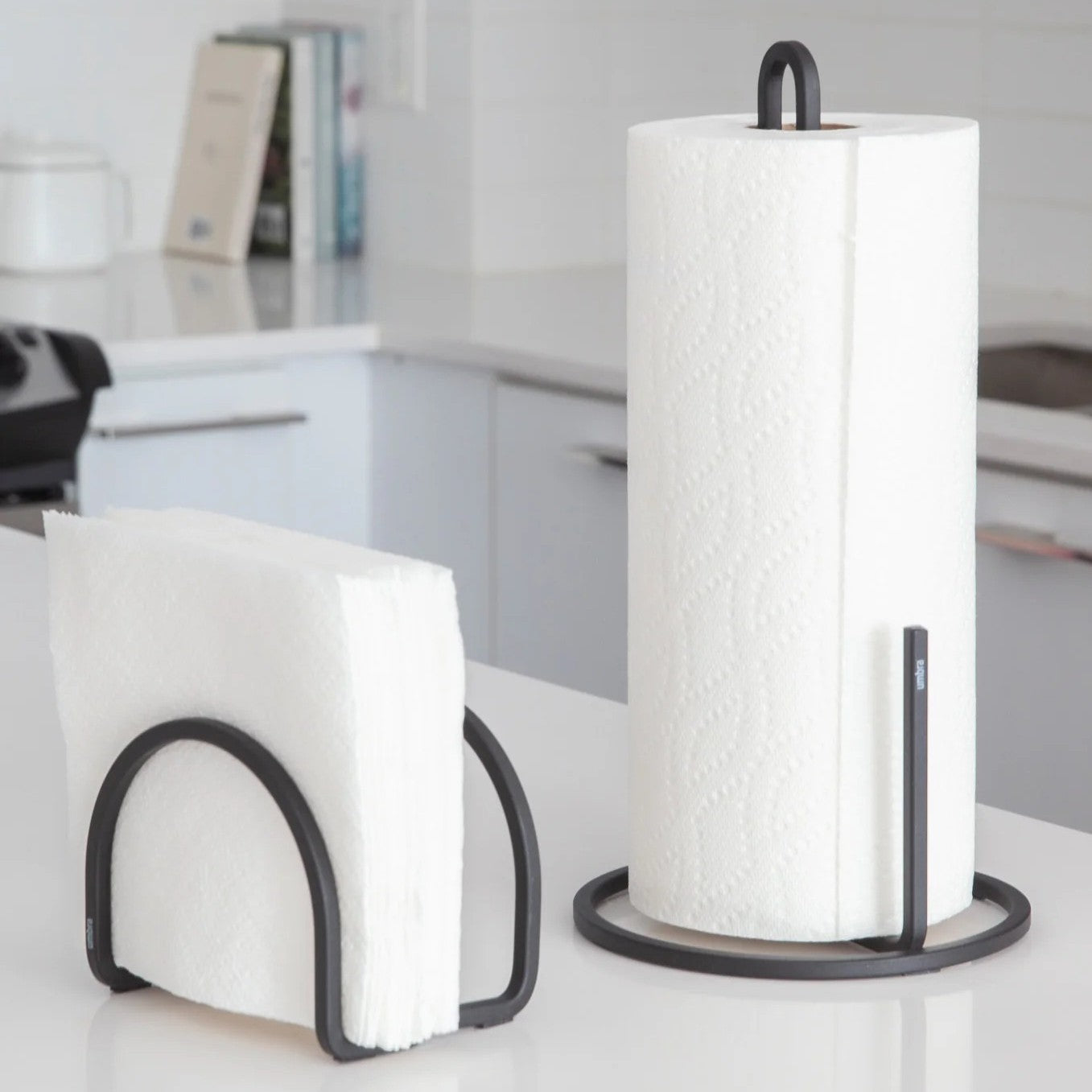 Squire Paper Towel Holder